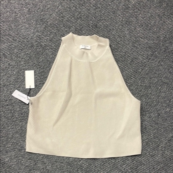 Babaton Tops - Babaton (Aritizia) Sculpt Knit Square neck Tank NWT Size 2X Matte Pearl Oatmeal